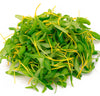 En farverig bunke Spireli Nasturtium/Tallerkensmækker-mikrogrønt med friske, grønne og gule, aflange blade og slanke gule stilke, der er kendt for deres peberagtige smag, anbragt på en hvid baggrund.